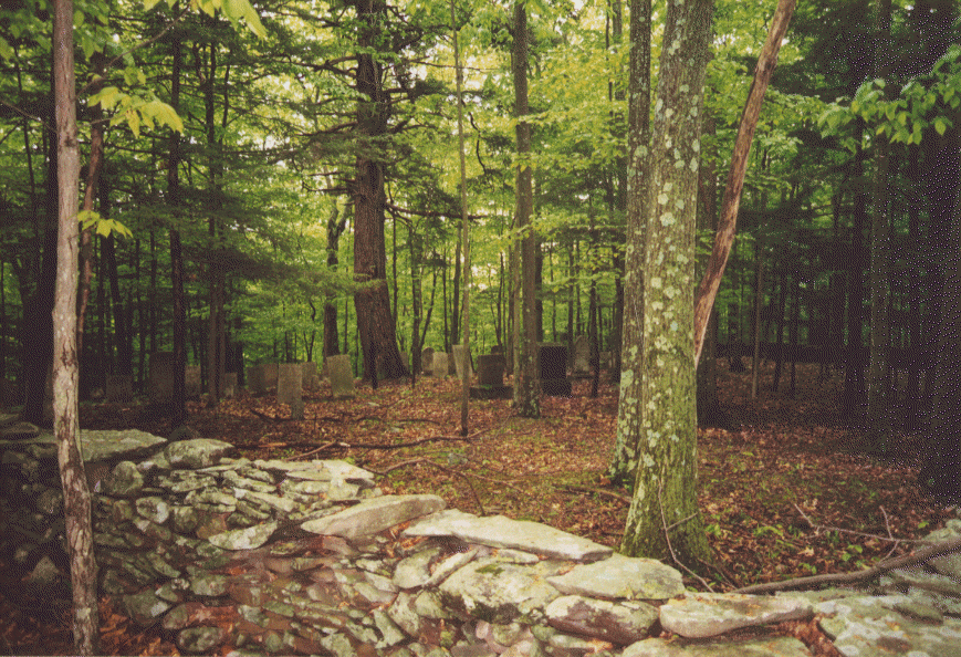 Olmsted Family Cemetery